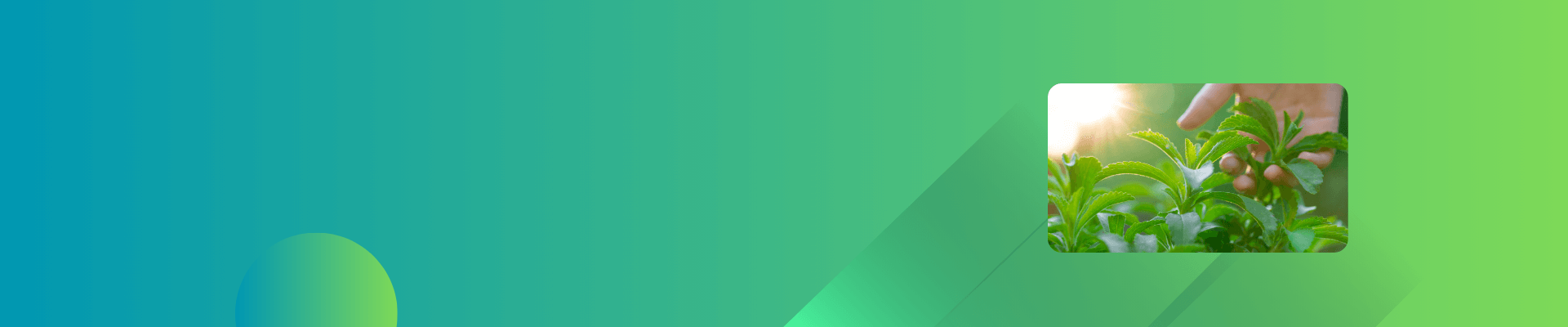 Contact Us Banner