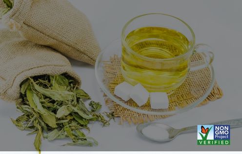 非转基因项目认证