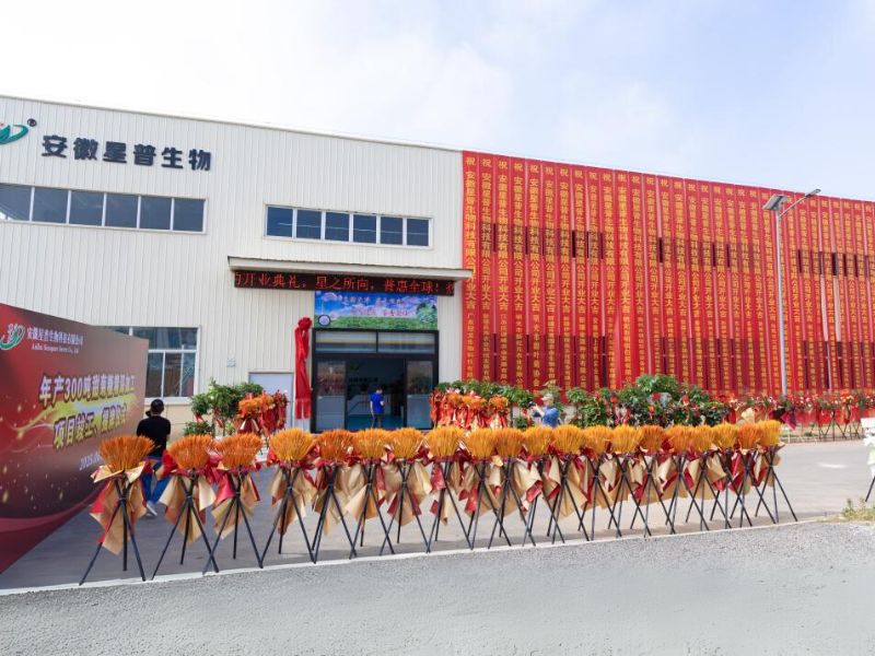 企业风采4
